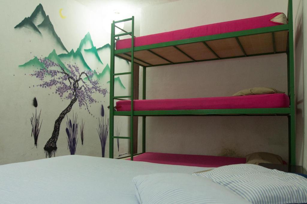 El Misti Hostel Ilha Grande Ilha Grande  Kültér fotó